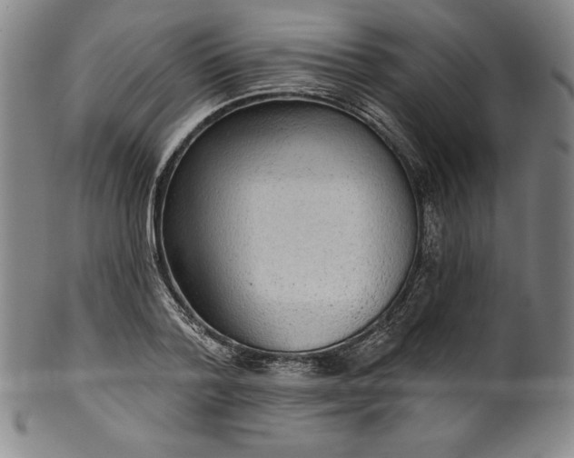 X0000099970788200806061629