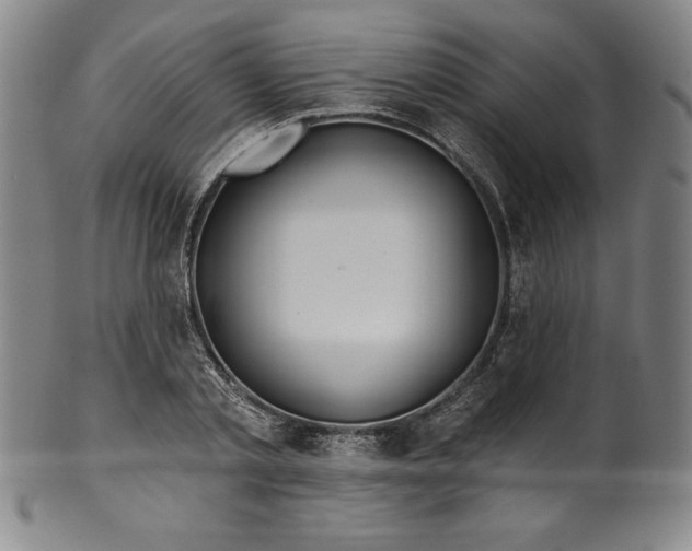 X0000099970789200806061629