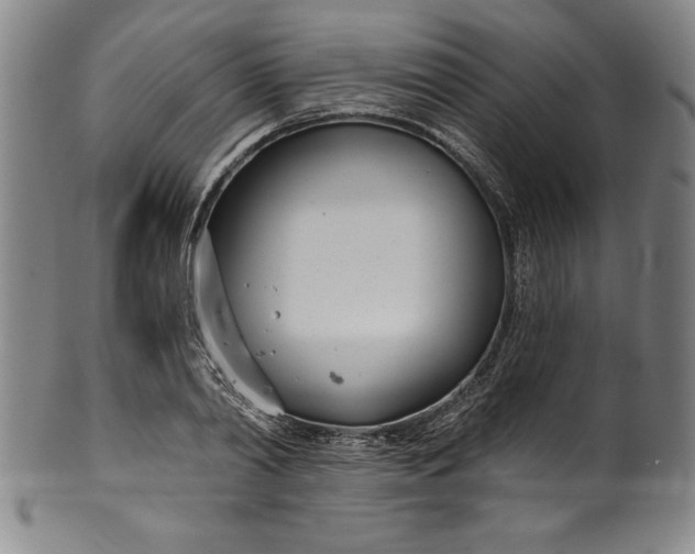 X0000099970790200806061629