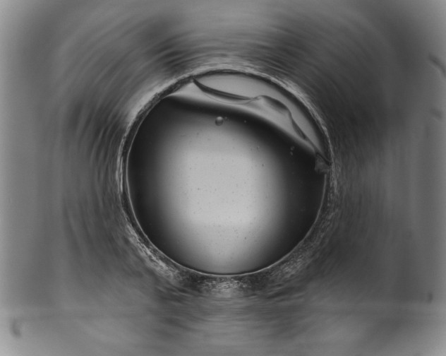 X0000099970791200806061629