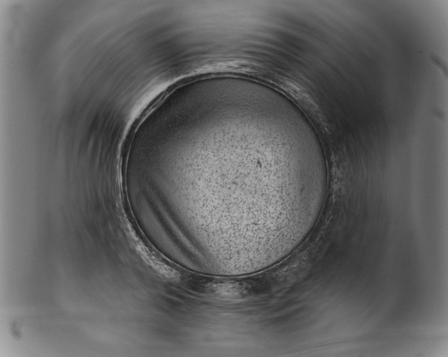 X0000099970792200806061629