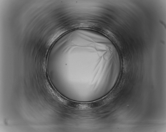 X0000099970794200806061629