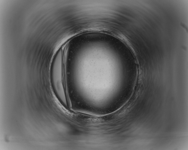 X0000099970795200806061629