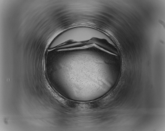 X0000099970796200806061629