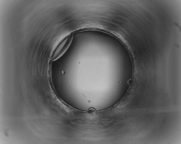 X0000099970799200806061629