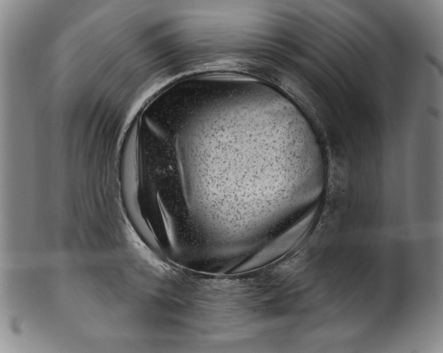 X0000099970800200806061629