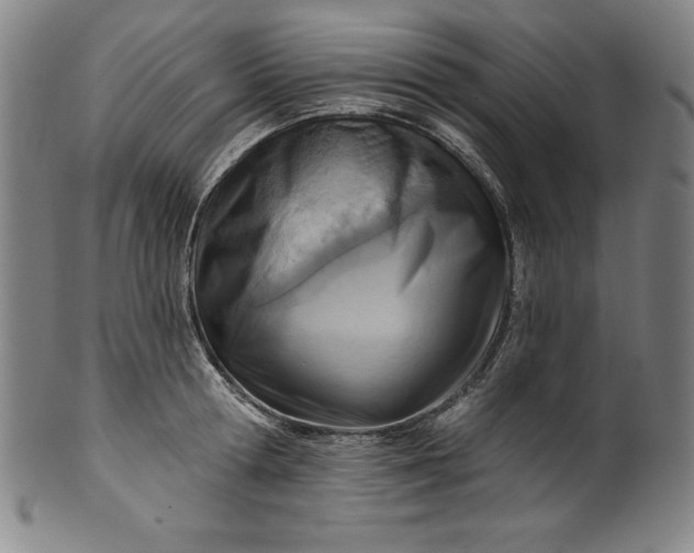 X0000099970802200806061629