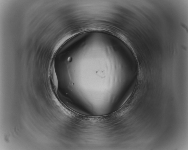 X0000099970803200806061629