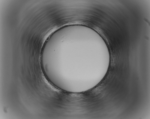 X0000099970805200806061628