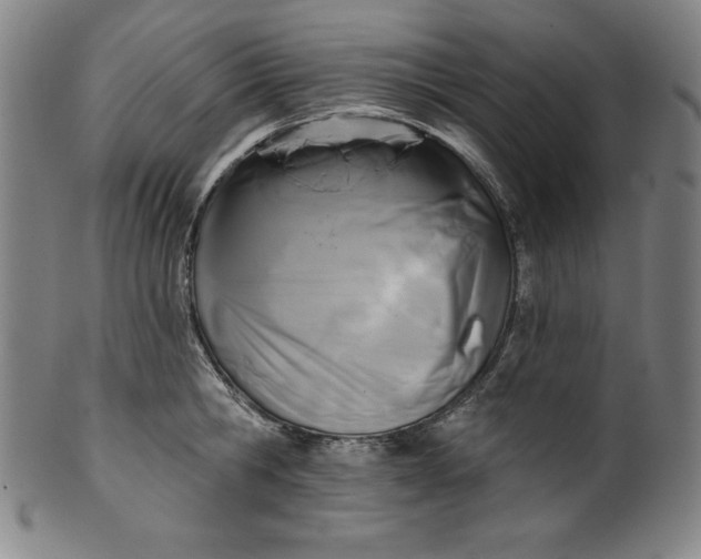 X0000099970806200806061628