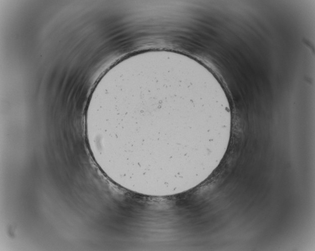 X0000099970807200806061628