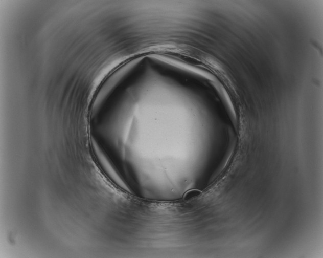 X0000099970808200806061628