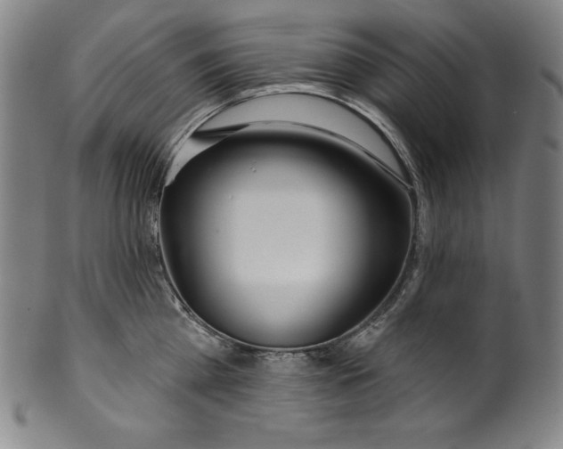 X0000099970809200806061628