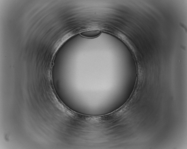 X0000099970810200806061628