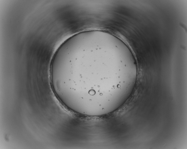 X0000099970811200806061628