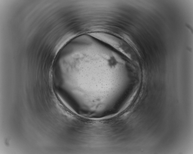 X0000099970814200806061628