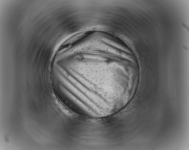 X0000099970816200806061628