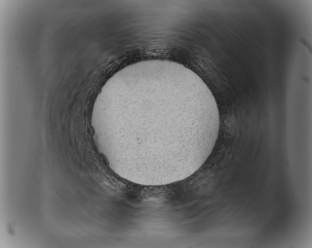 X0000099970817200806061628