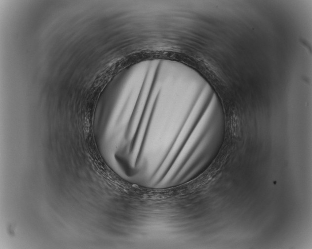 X0000099970821200806061628