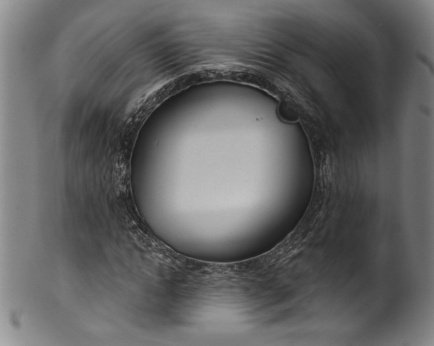 X0000099970822200806061628