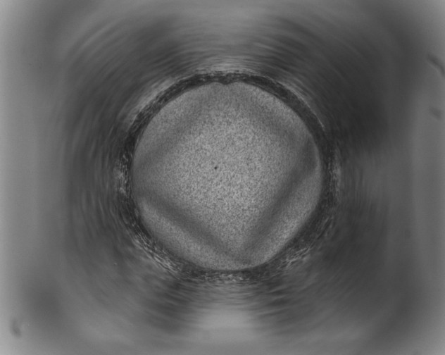 X0000099970823200806061628