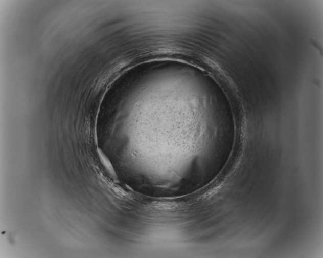 X0000099970825200806061628