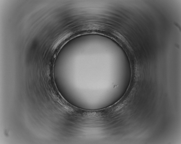 X0000099970826200806061628