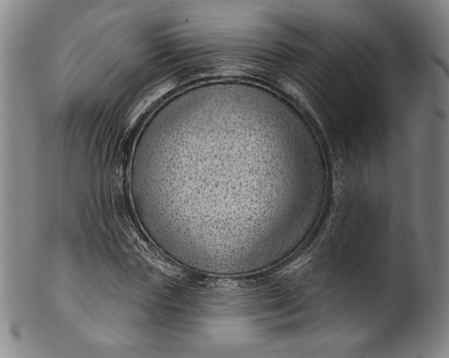 X0000099970827200806061628