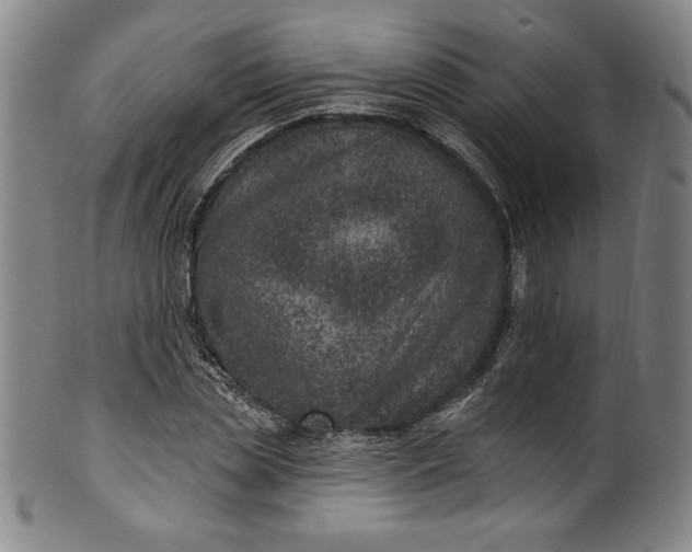 X0000099970829200806061628