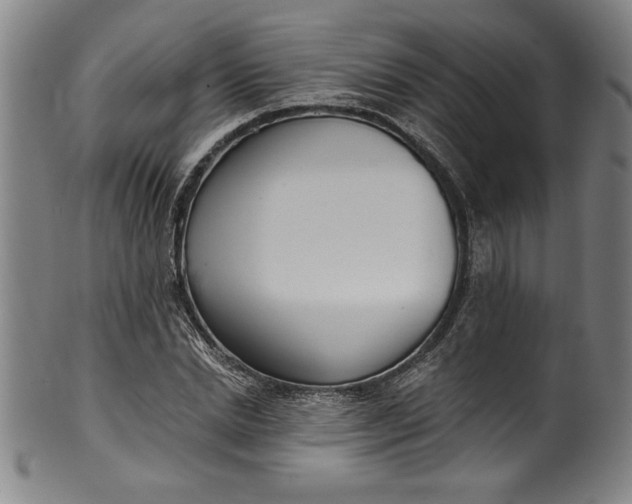 X0000099970830200806061628