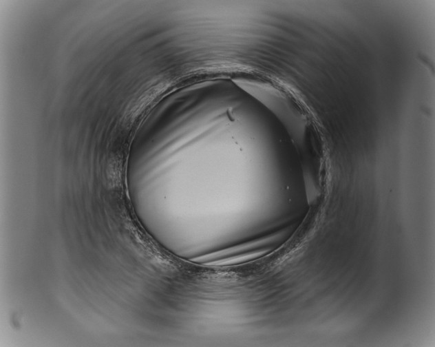 X0000099970833200806061628