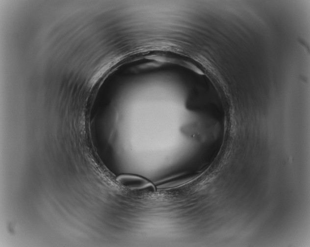 X0000099970834200806061628