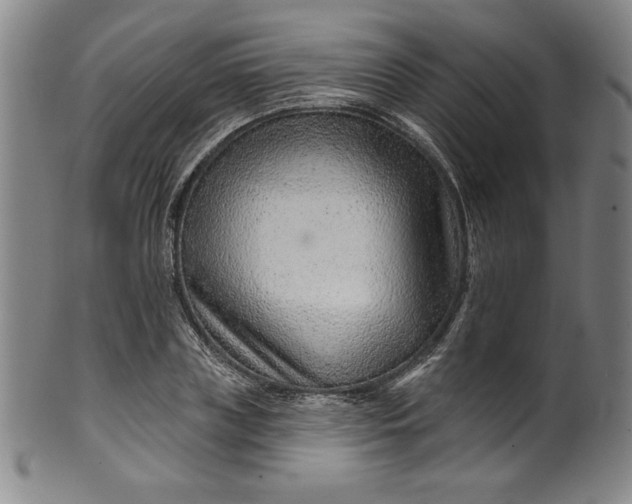 X0000099970835200806061628