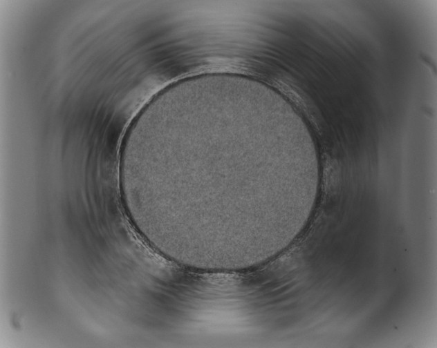 X0000099970836200806061628