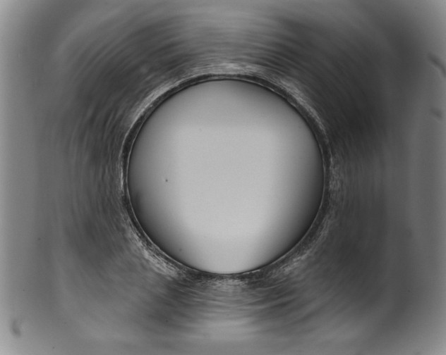 X0000099970837200806061628