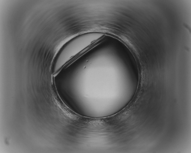 X0000099970838200806061628