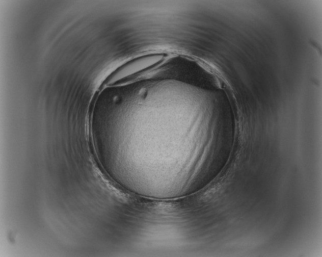 X0000099970839200806061628