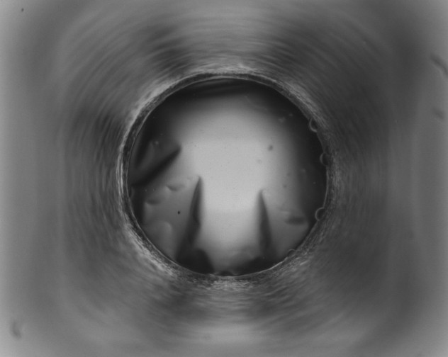 X0000099970840200806061628