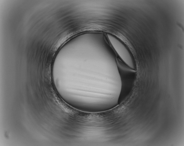 X0000099970842200806061628