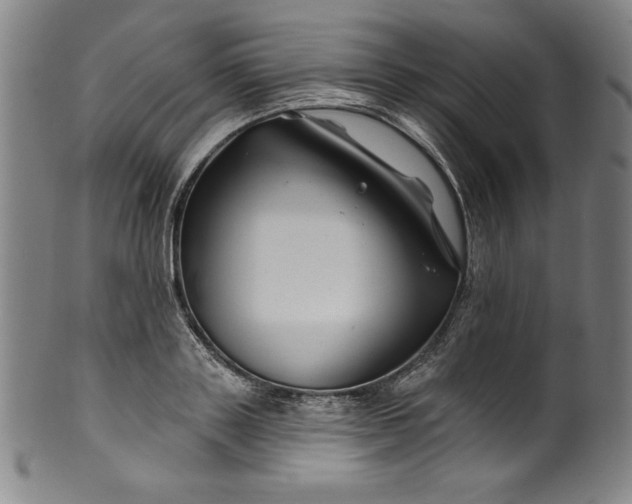 X0000099970843200806061628