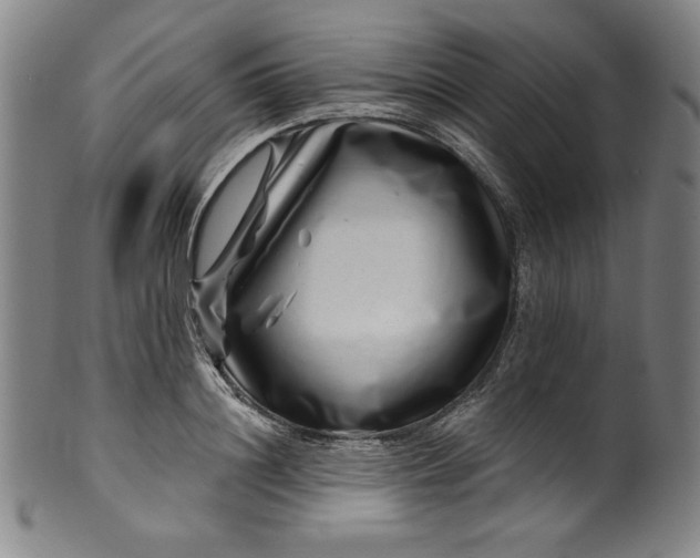 X0000099970844200806061628