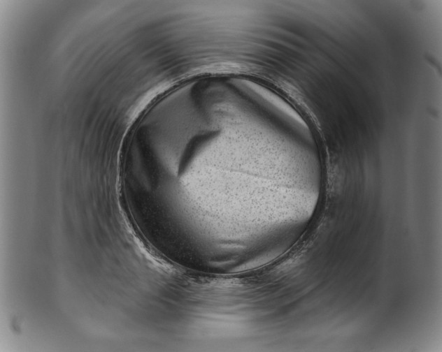 X0000099970845200806061628