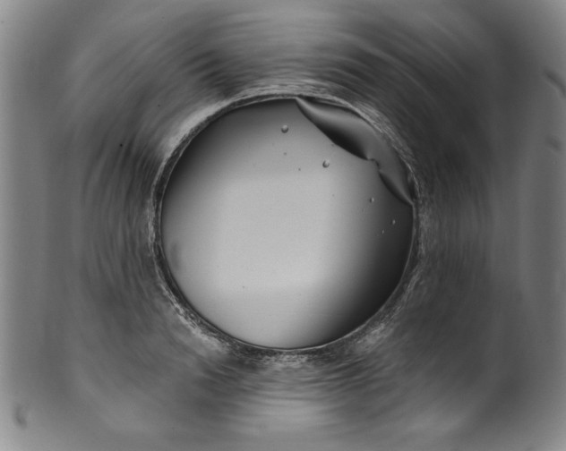 X0000099970846200806061628