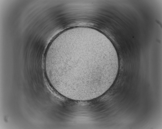 X0000099970848200806061628