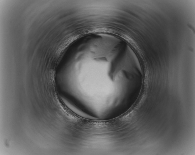 X0000099970849200806061628