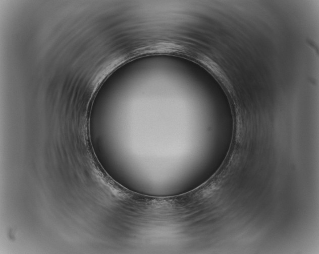 X0000099970850200806061628