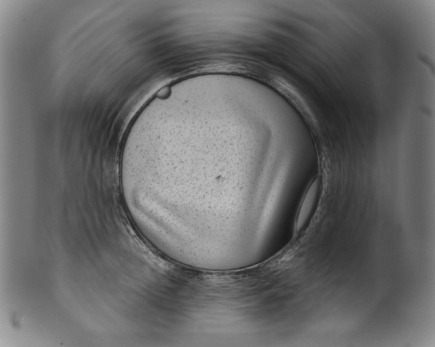 X0000099970852200806061628