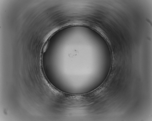 X0000099970853200806061628