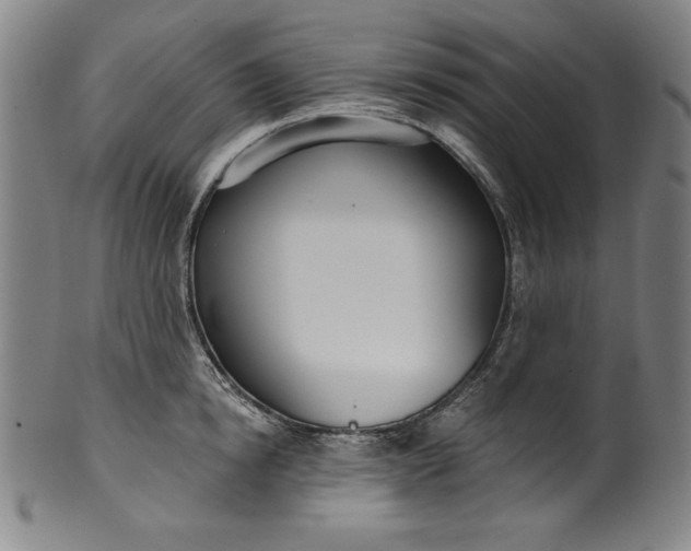 X0000099970854200806061628