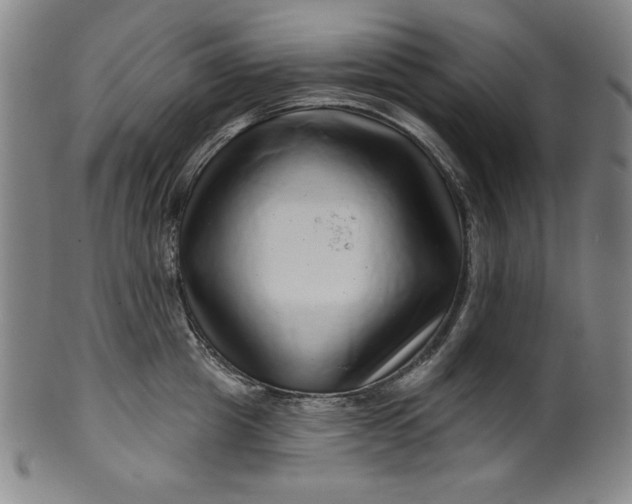 X0000099970857200806061628